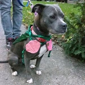 Meet your Posher, Emily